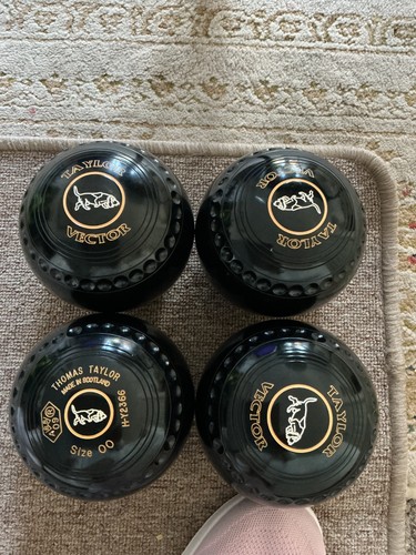 Thomas taylor vector bowls - thomas,