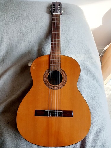 Vintage eros acoustic guitar - acoustic,