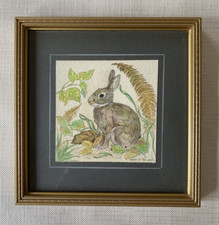 Watercolour Painting of a Rabbit Bunny Original Signed Joan D Pollock Framed