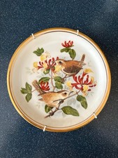 BIRDS OF THE HEDGEROW PLATE R J HERITAGE Wrens  Edwardian China⭐