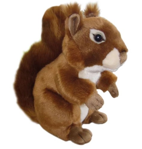 Red squirrel cuddly - cuddly, soft