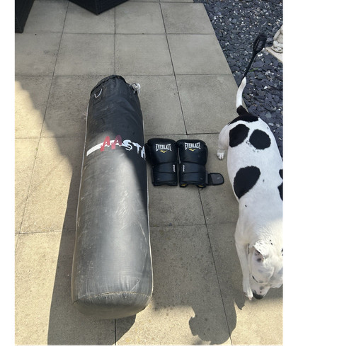Everlast hanging punch bag - everlast,