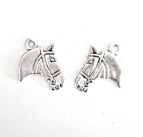 Tibetan silver charms - 10,