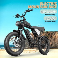 YVY 20" Electric Bike 250W 48V