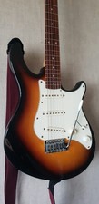 Peavey Raptor Special |