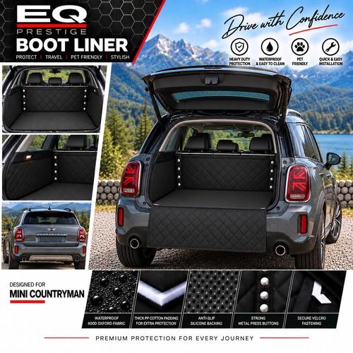 For mini countryman - for,