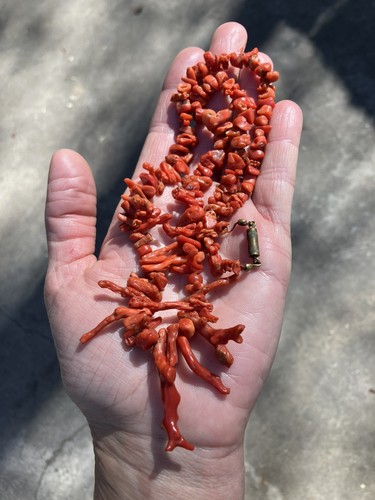 Vintage italian red branch - vintage,