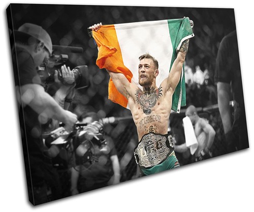 Conor mcgregor ufc mma - mma, irish