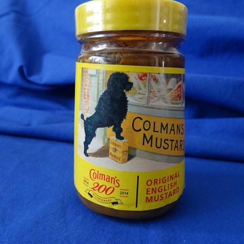 Black poodle standing - poodle, colmans
