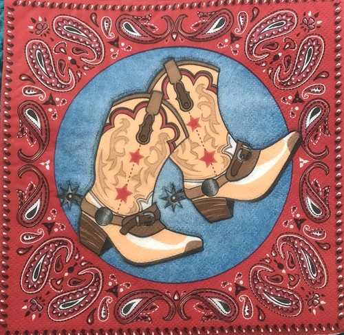 Wild west cowboy boots - x,