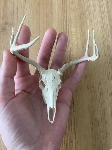 Scaled down miniature replica - miniature,