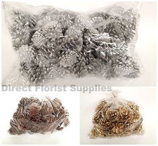 1 kg bag Pine Fir cones