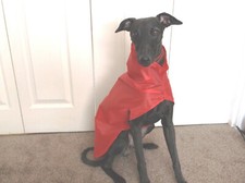 NEW ~ Whippet Showerproof/