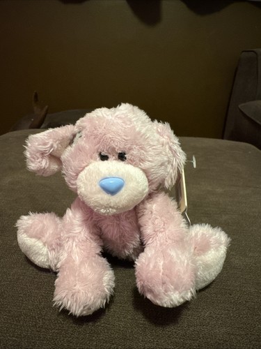 Rare tatty teddy blue nose - rare,