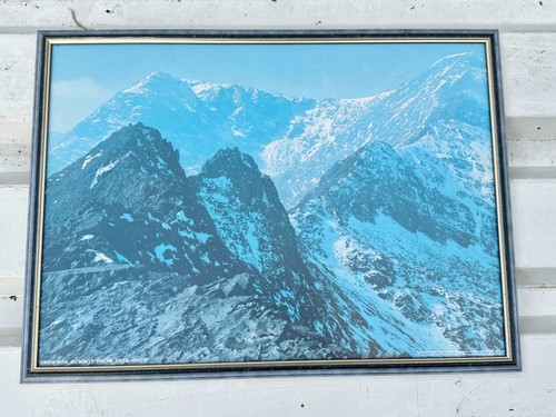 Vintage large framed photo - framed,