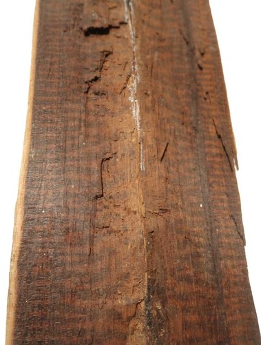 Snakewood 34x13 14cm - snakewood, x