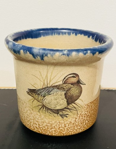 Rare monroe salt - salt, duck