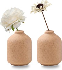 Set of 2 Ceramic Vase for