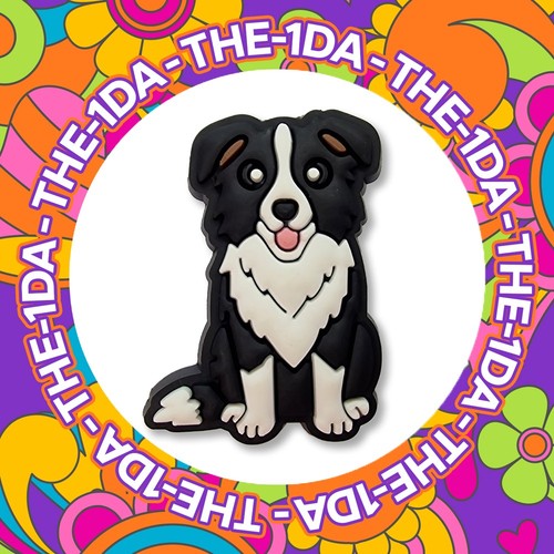 Super cute sheep dog border - super,