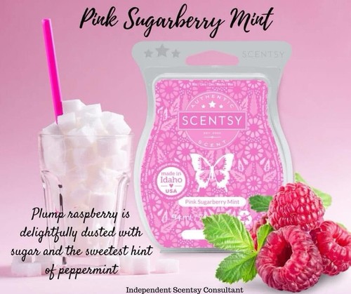 Scentsy pink sugarberry - pink, mint