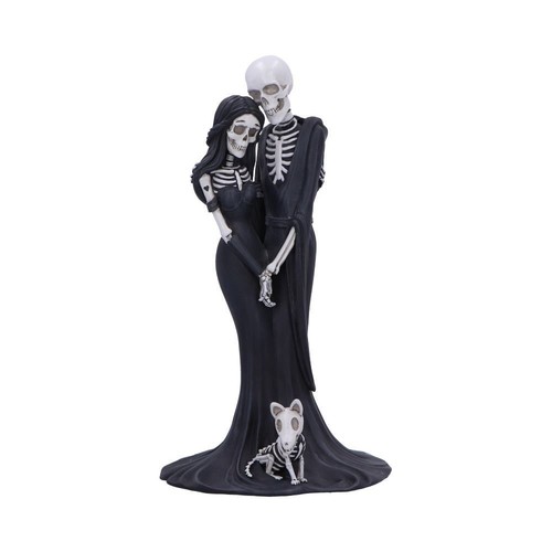 Eternal companion - companion,