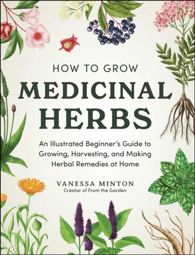 How grow medicinal herbs by - how,