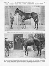 HORSE RACING Winner & 2nd at The Jockey Club Cup - Vintage Print 1926