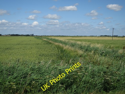 Photo 12x8 wheat field - wheat, by