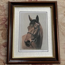 Viking flagship racehorse - 'viking, flagship'
