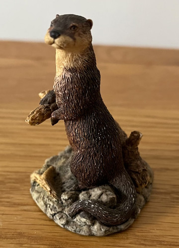 Evening vigil otter - -,