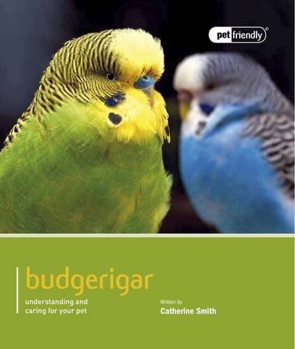 Budgerigar pet friendly - budgerigar:,