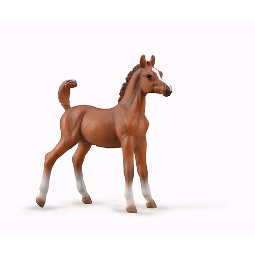 Collecta arabian foal - collecta,