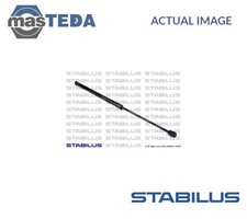 024335 TAILGATE BOOT STRUT
