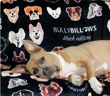 Bully Billows Black Dog