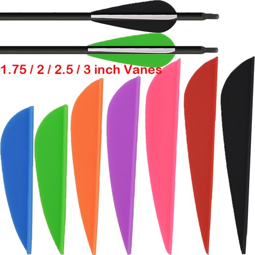 100x 5 3 archery - 2.5", 3"