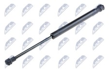 AE-RV-001 NTY Gas Spring