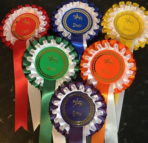 1st 6th tier horse - tier, rosettes