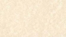 Parchment Paper 90gsm Cream