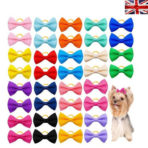 Assorted dog hair bows - assorted,