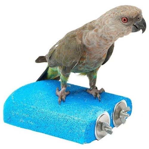 Lava ledge bird sanded shelf - bird,