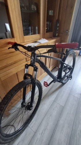Rockrider 29in hardtail - rockrider,