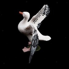 Realistic Seagull Bird Model