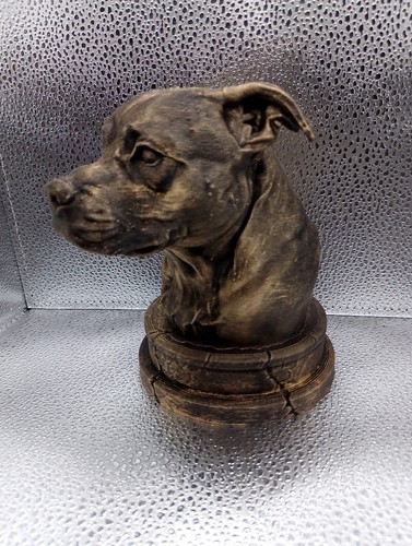 Staffordshire bull terrier - bull,
