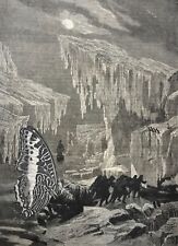 ORIGINAL COLLAGE ART antique Victorian costume tattoo goth arctic explorer moth