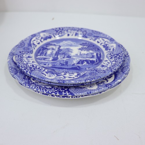 Spode blue italian - spode,