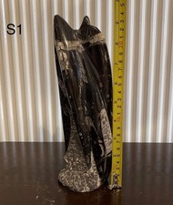 Orthoceras nautilus tower - orthoceras,
