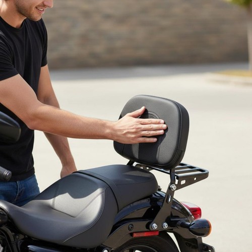 Sissy bar pad - sissy,