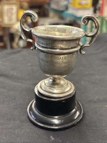 Vintage solid silver trophy - vintage,