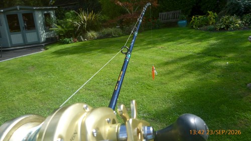 Shimano blue rose - shimano,