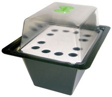 Nutriculture 12 Plant X-Stream